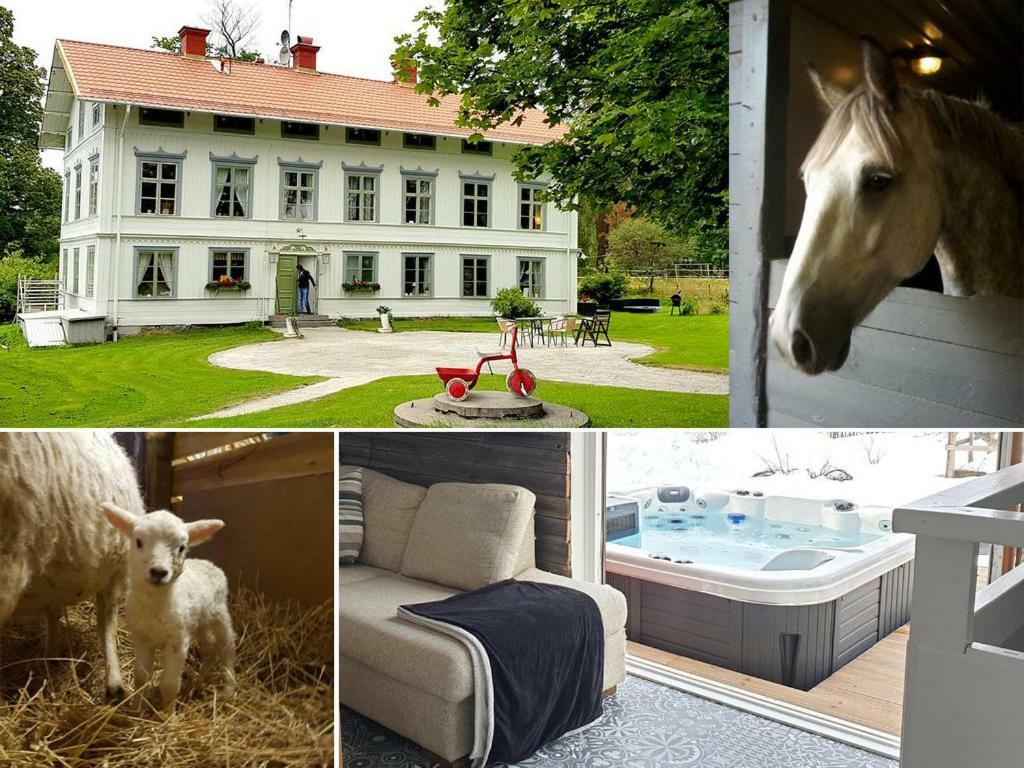 Myskje Gard Gastgiveri Soderala ภายนอก รูปภาพ